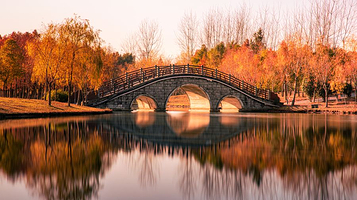 浦东金海湿地公园