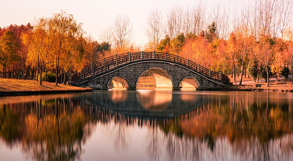 浦东金海湿地公园