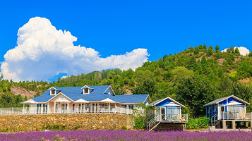 紫海香堤香草艺术庄园
