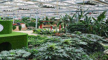 盛丰农业科技示范园