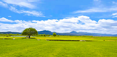 拉市海湿地.候鸟湾