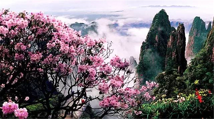 莽山五指峰景区第 134 张图片