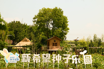 东部新区种子乐园第 7 张图片