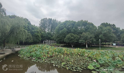 鸡鸣山公园第 5 张图片