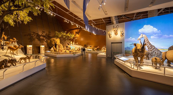 航海发现之旅展厅