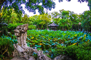 小莲庄及嘉业藏书楼