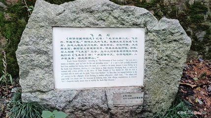 飞来石第 1 张图片