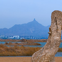 甘德尔山生态景区-成吉思汗雕像