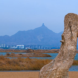 甘德尔山生态景区-成吉思汗雕像