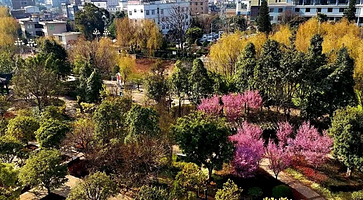 锦屏山健康主题公园