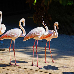 西双版纳野生动物园