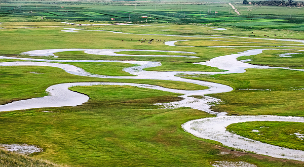 闪电河国家湿地公园