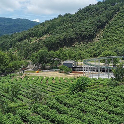 金刚台仙石谷漂流