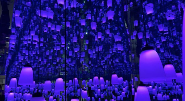 石家庄星空艺术馆(北国商城建设南大街店)