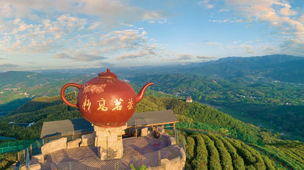 西九华山景区-茶山观赏区第 1 张图片