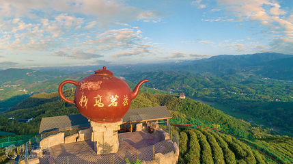 西九华山景区-茶山观赏区第 2 张图片