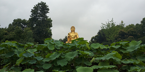 华岩寺第 37 张图片
