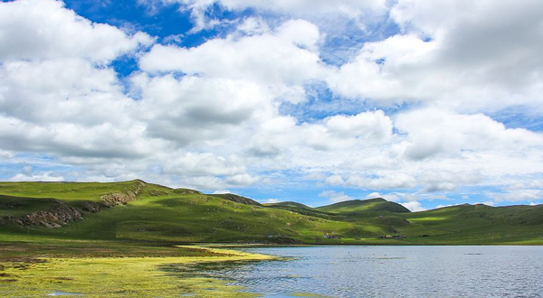 甘南尕海侯鸟自然保护区