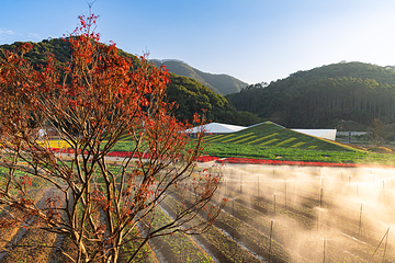 天人山水大地艺术园第 33 张图片