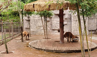 宜宾市翠屏山景区-宜宾动物园