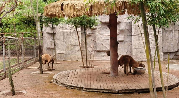 宜宾市翠屏山景区-宜宾动物园