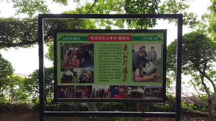 万绿湖风景区第 43 张图片
