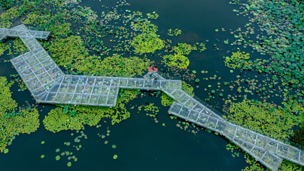 仙鹤湖湿地园第 25 张图片