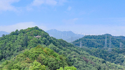 凤凰山第 1 张图片