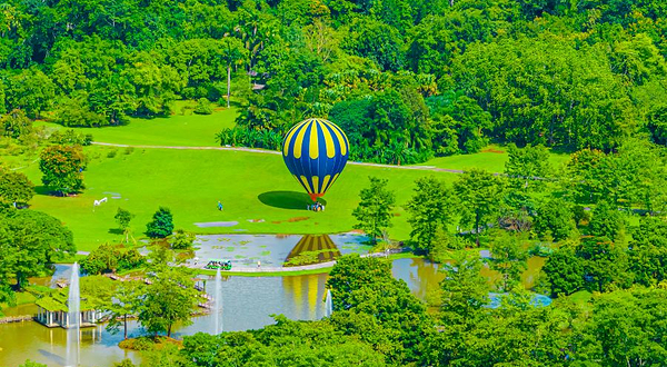中国科学院西双版纳热带植物园-热带雨林