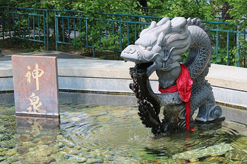 黄河大沙漠神泉旅游景区第 57 张图片