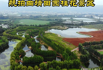 田园桂花景区第 1 张图片