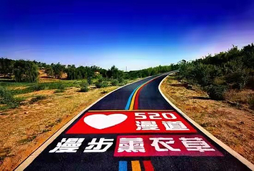 宁夏薰衣草庄园(兴庆区沙漠运动公园)第 4 张图片