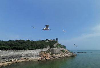 蓬莱阁第 244 张图片
