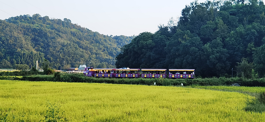 温岭田园牧歌旅游度假区第 15 张图片