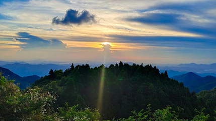 六万大山森林公园第 1 张图片