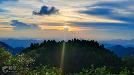 六万大山森林公园第 4 张图片