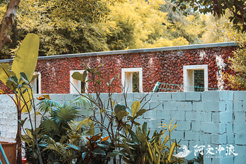 阿文冲浪俱乐部(香水湾店)第 41 张图片