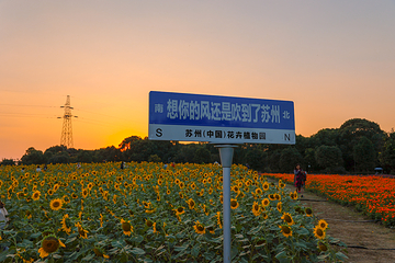 苏州中国花卉植物园第 13 张图片
