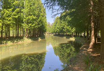 南滇池国家湿地公园第 3 张图片