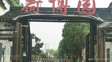吕山荷博园第 2 张图片