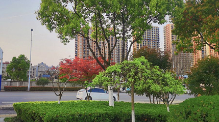 合肥淮北路公园第 1 张图片