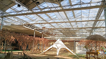 艾利斯玫瑰庄园