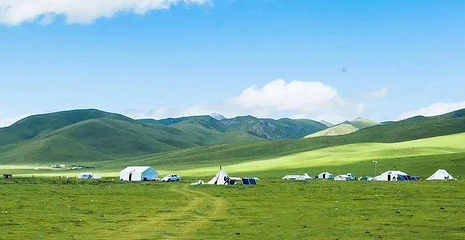门源祁连山国际生态牧场第 1 张图片