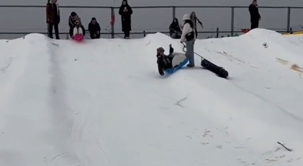 雪狐冰雪嘉年华