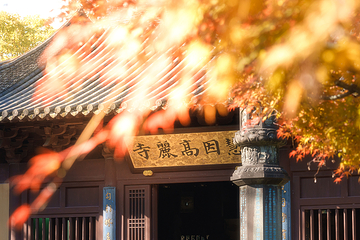 杭州西湖风景名胜区-高丽寺第 14 张图片