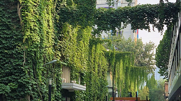 郎园Vintage创意园