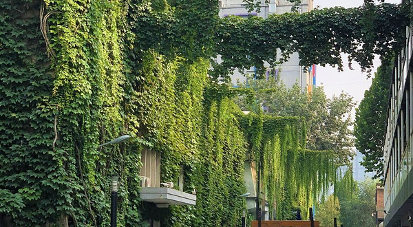 郎园Vintage创意园