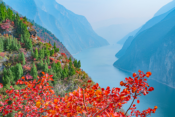 三峡之巅景区第 6 张图片