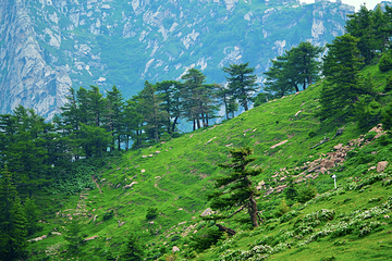 芦芽山旅游度假区第 148 张图片