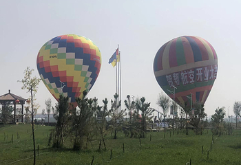 宁夏贺翔航空旅游小镇第 25 张图片